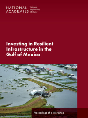 cover image of Investing in Resilient Infrastructure in the Gulf of Mexico